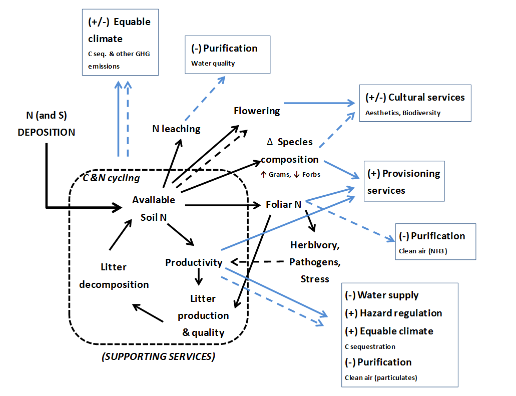 ecosystem services - eutrophication impacts