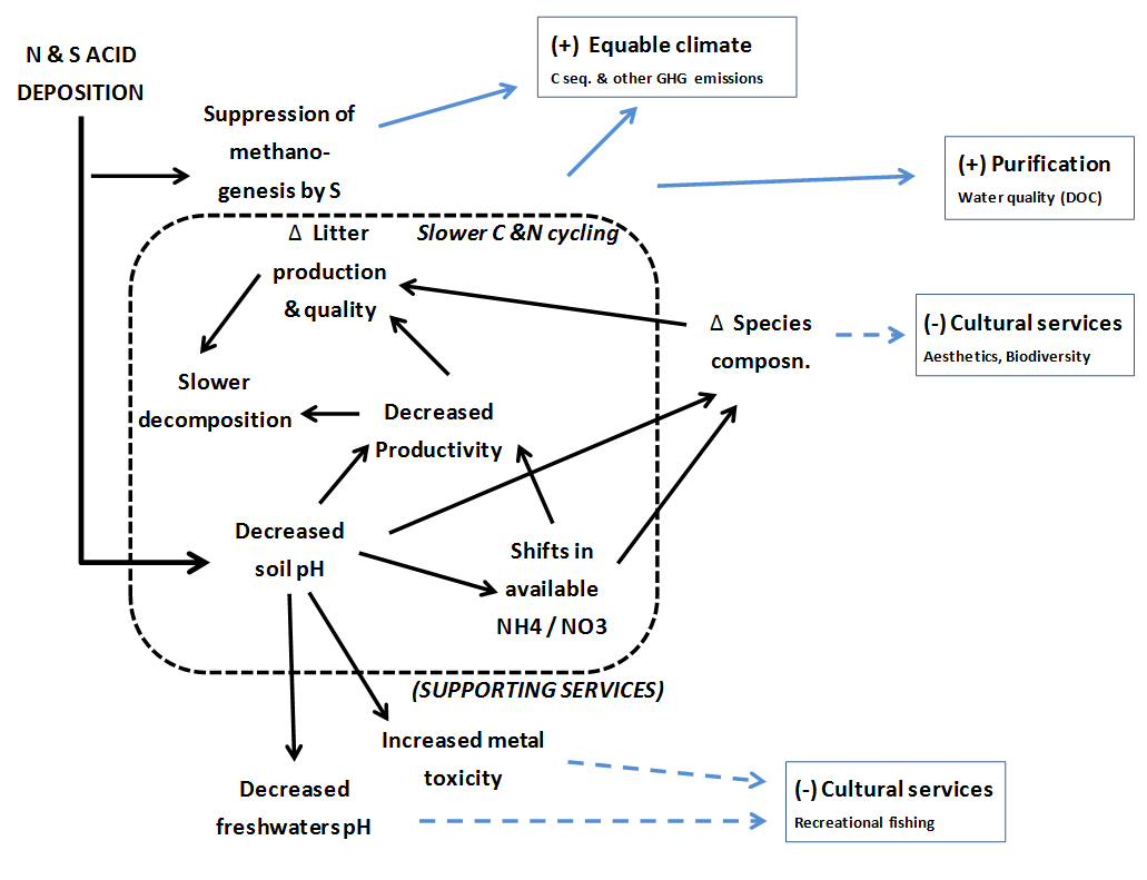 ecosystem services -acidification impacts