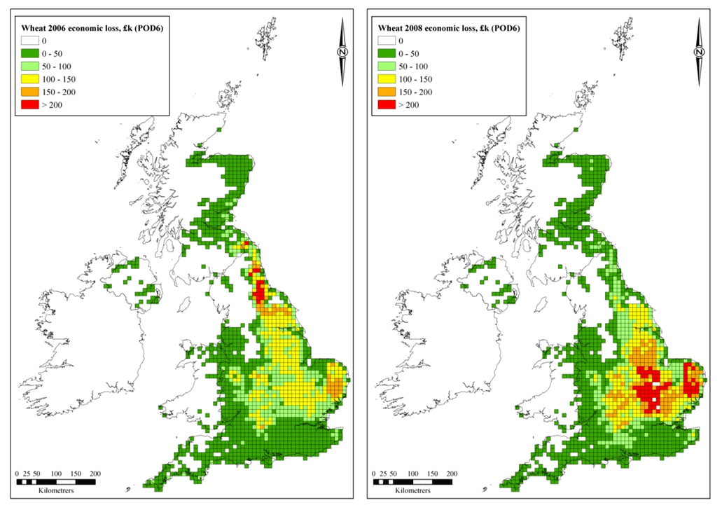 Spatial distribution of the impacts of ozone on wheat yield loss in 2006 