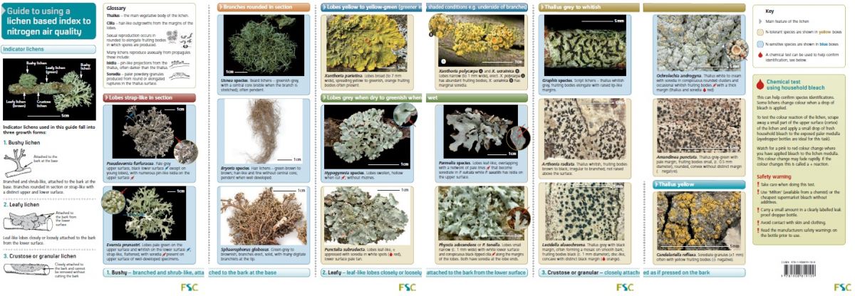 Lichen Colour Chart