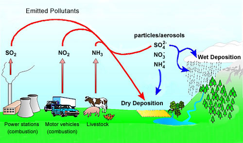 pollutant emissions and deposition processes