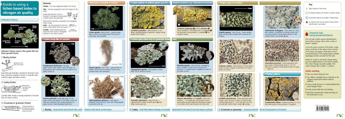 Guide to using a lichen based index to nitrogen air quality
