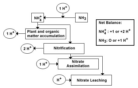 soil balance