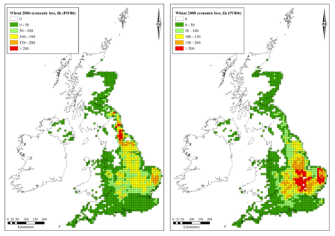 Maps showing spatial distribution of the impacts of ozone on wheat yield loss in 2006 and 2008