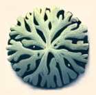 LicheN app