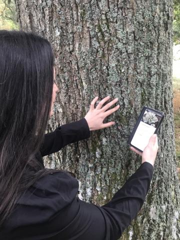 LicheN app user