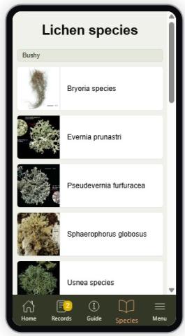 LicheN app guide