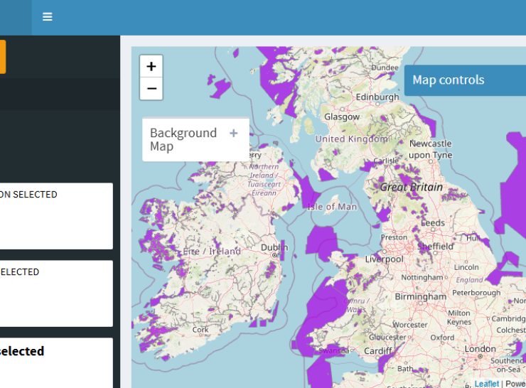 APIS mapping interface