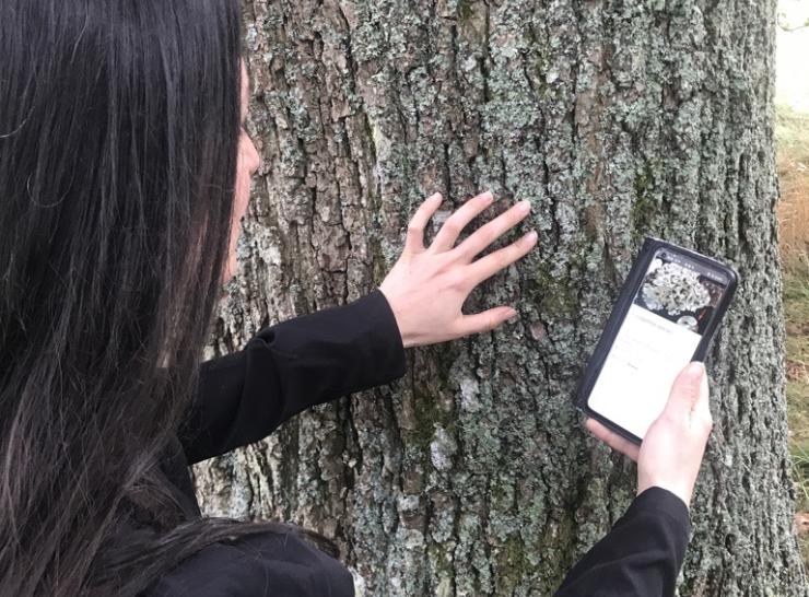 LicheN app user
